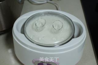 Homemade Yogurt recipe