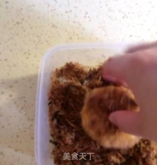 Pork Floss Beef recipe