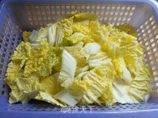 Stir-fried Cabbage with Tofu in Oil recipe