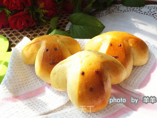 Custard Butter Dog Bread recipe