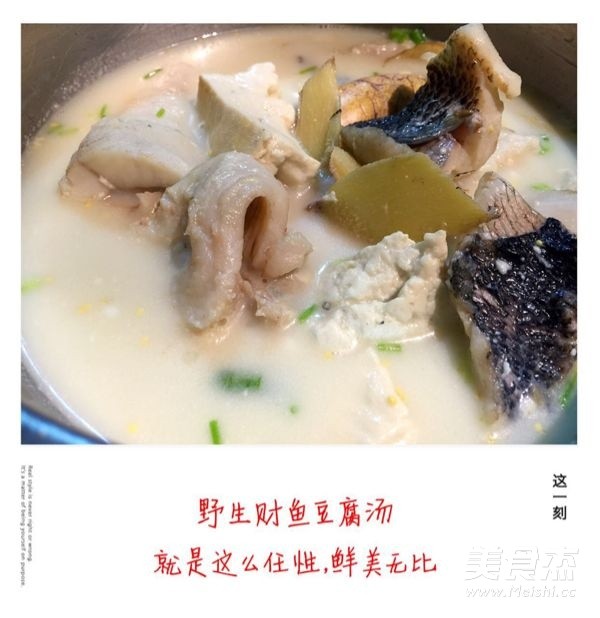 Wild Fish Stewed Tofu recipe