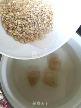 Coconut Milk, Red Bean, Coix Seed and Sago recipe