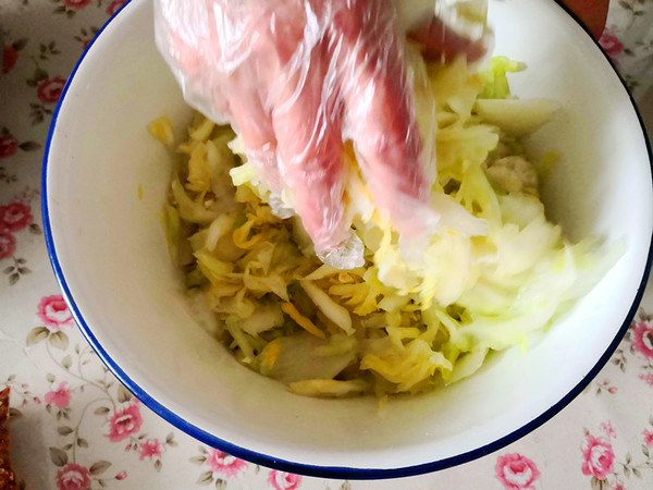 Mixed Fresh Cabbage recipe