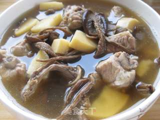 Tea Tree Mushroom Soup recipe