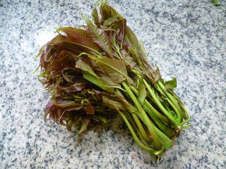 Toon with Egg White recipe