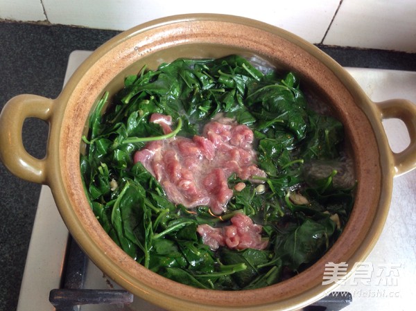 Lycium Barbarum Leaf Lean Meat Soup recipe