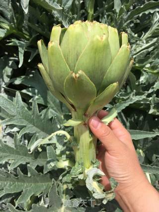 Braised Artichokes in Oil recipe