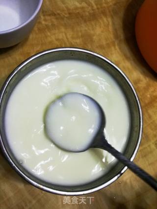 #trust之美#how to Make Yogurt at Home recipe