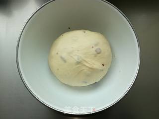 Cranberry Cheese Soft European recipe