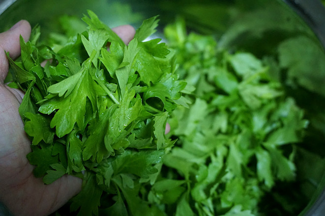 Celery Leaf Salad recipe