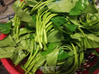 Red Pepper Fermented Sweet Potato Sprouts recipe