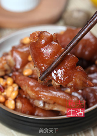 Braised Pork Trotters recipe