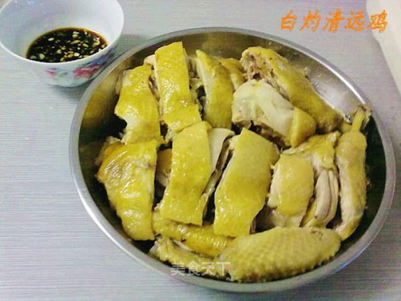 【cantonese Cuisine】boiled Qingyuan Chicken