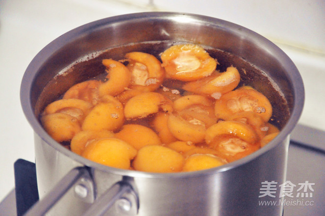 Loquat Syrup recipe