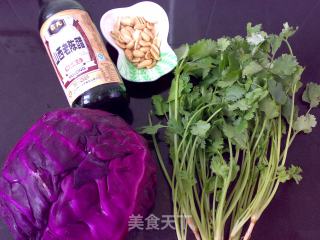 Purple Cabbage with Aged Vinegar recipe