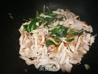 Stir-fried Chicken with Mushroom recipe