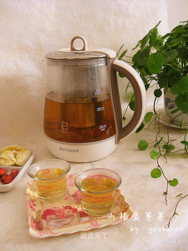Hawthorn Malt Tea recipe