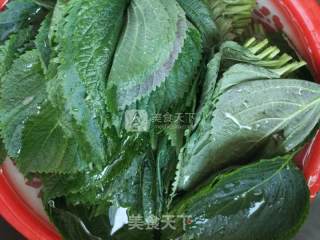 Fresh Korean Suzi Leaves recipe