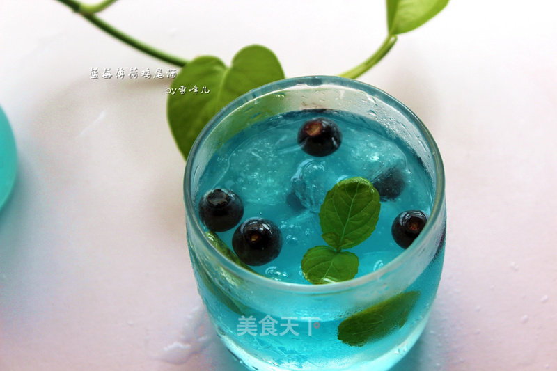 Summer Cold Drink-mint Blueberry Cocktail recipe