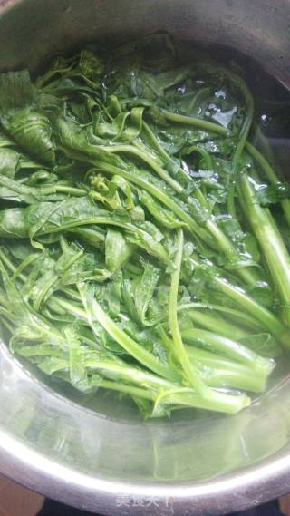 Spicy Mustard Greens recipe