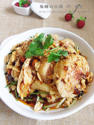 [classic Sichuan Meat Dishes] Spicy Saliva Chicken recipe