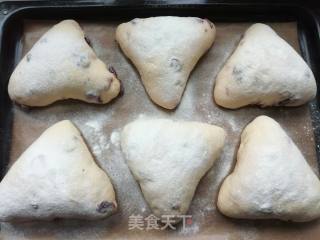 Cranberry Cheese Soft European recipe