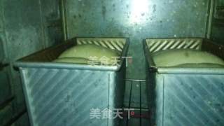 #柏翠大赛#a Toast that Won't Fail recipe