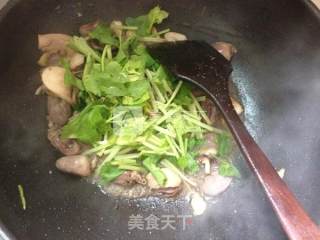 Light Summer-duck Heart Pleurotus Eryngii recipe