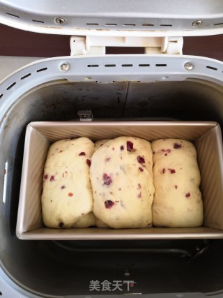 Medium Cranberry Toast recipe