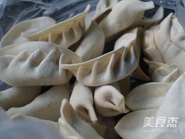 Egg Fried Dumplings recipe