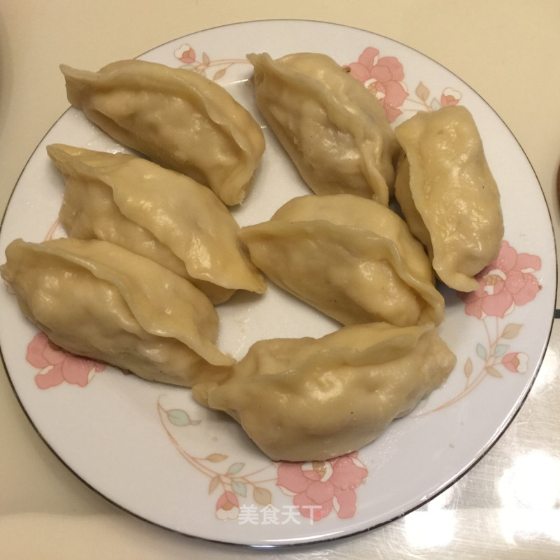 Onion Meat Pot Stickers recipe