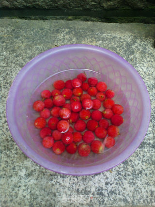 Sweet and Sour Bayberry Soup recipe