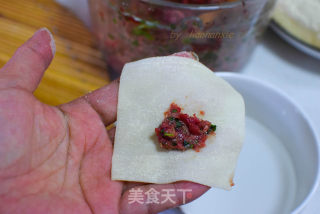 Beef Wonton recipe