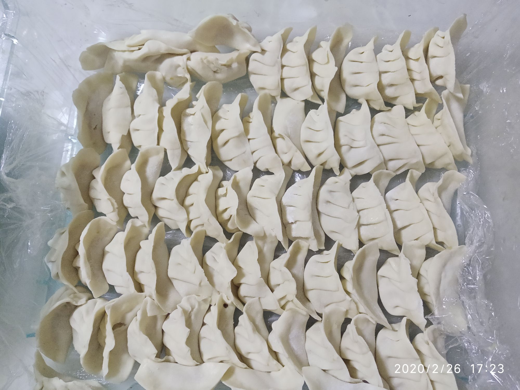 Pork Cabbage and Mushroom Stuffed Dumplings recipe