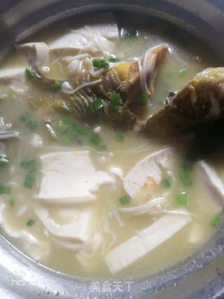 Yellow Bone Fish Tofu Soup recipe