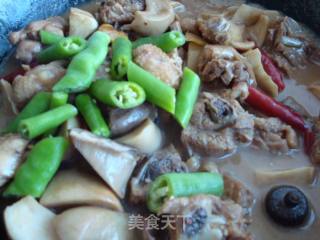 Braised Chicken with Chestnuts and King Pleurotus recipe