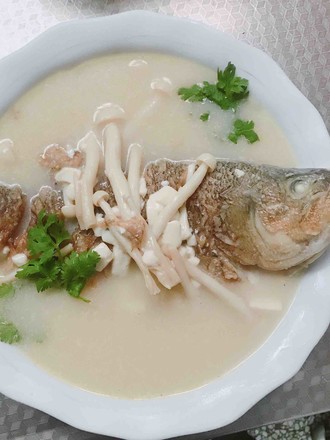 Milky White Crucian Fish Tofu Soup recipe