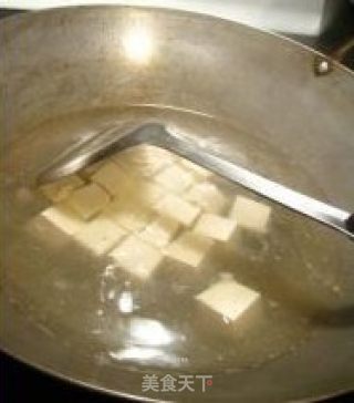 Shanzhai Style Barbecued Pork Tofu with Mapo recipe