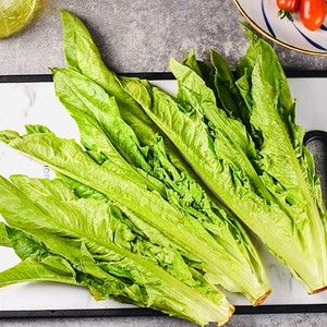 Reduced Fat and Refreshing Lettuce recipe