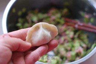 Sweet, Fresh and Fragrant [dumplings Stuffed with Elm Money] recipe