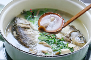 Crucian Carp, Tofu, Mushroom Soup recipe