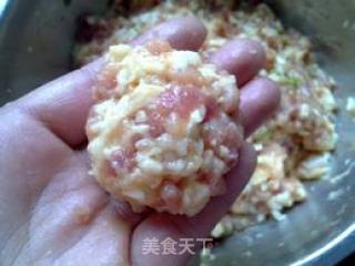 Fried Meatballs recipe