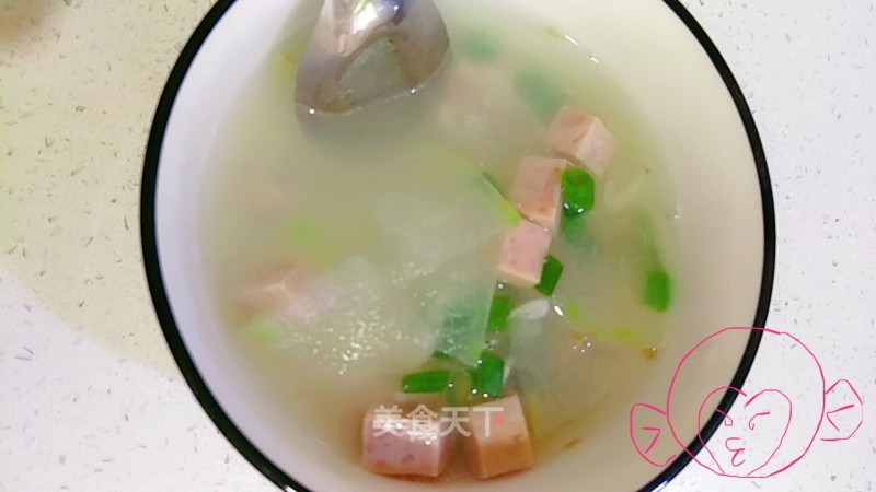 Ham and Winter Melon Soup recipe