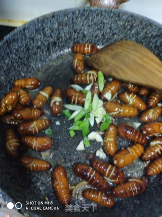 Dry Cocoon Pupae recipe