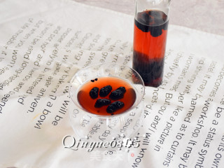 Mulberry Vinegar Drink recipe