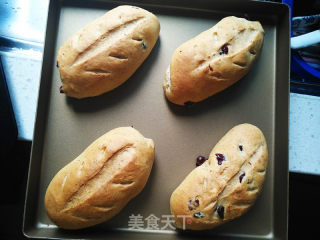 Cranberry Whole Wheat Golden Germ Bread recipe