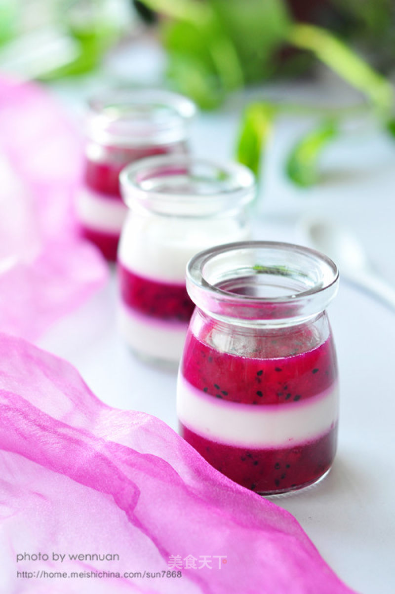 Dragon Fruit Yogurt Jelly recipe