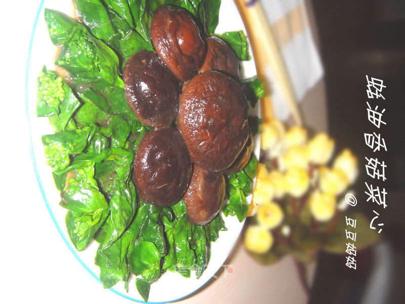 Crisp, Tender and Refreshing to Make You Fall in Love with Him------oyster Sauce Shiitake Mushroom Choy Sum 319 recipe