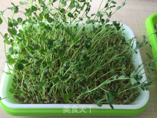 Are You Hungry? I'll Give You Cold Salad for Spring? recipe