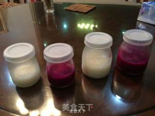 Pitaya Coconut Pudding recipe